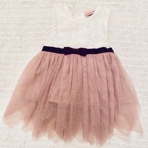 Toddler Girl Lace Tutu Dress